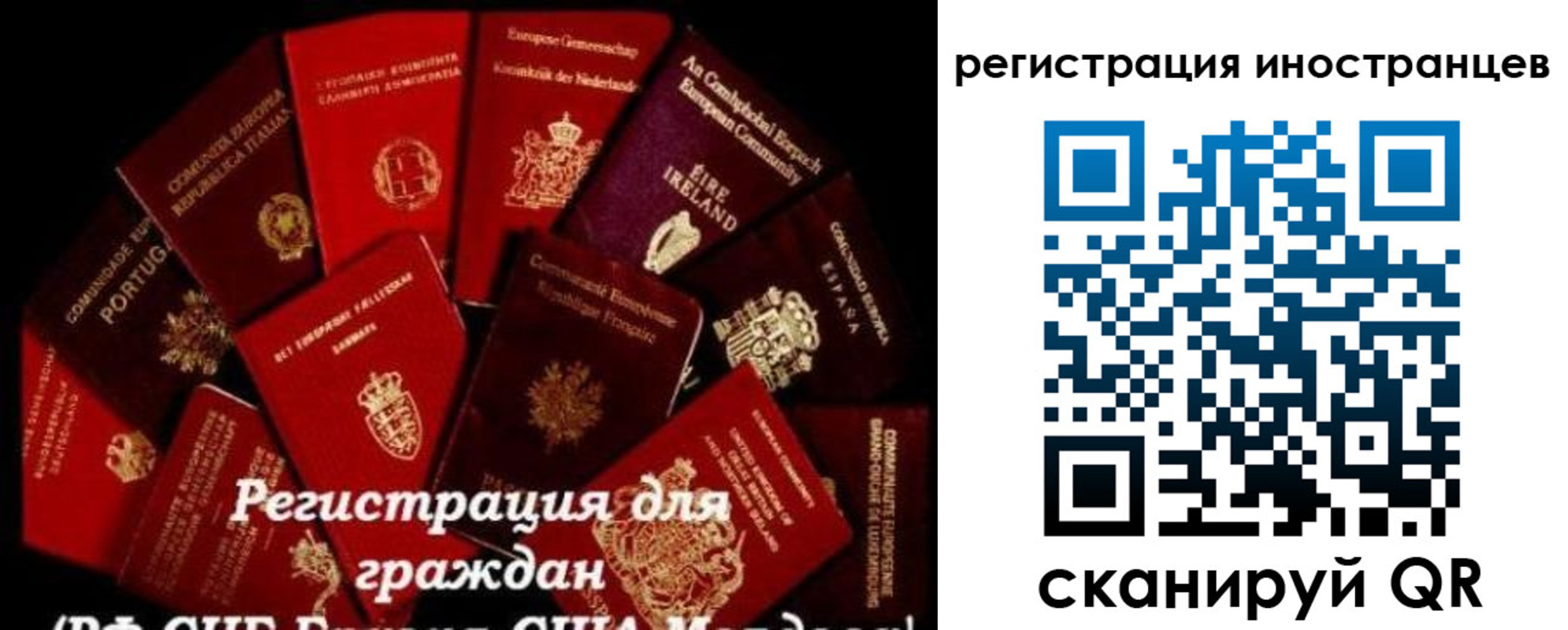 прописка иностранных граждан в Карасуке